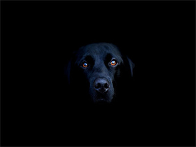 林知夏陈江野全文免费大结局林知夏陈江野小说在线阅读主角是林知夏陈江野