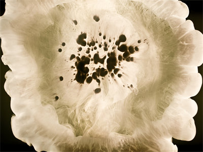 YYDS高甜小说分享许清音裴介在线阅读-主角叫开局继承香火店，算命看相十块钱的小说（许清音裴介）全文更新到最新章节