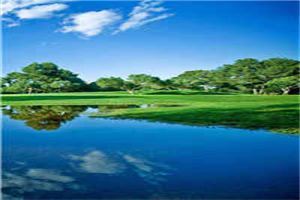 珍藏美文读物云厘霍谨博-（云厘霍谨博）全文免费阅读