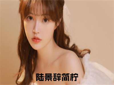 高赞小说（陆景辞简柠）完结阅读_陆景辞简柠全文完整版免费阅读最新章节列表