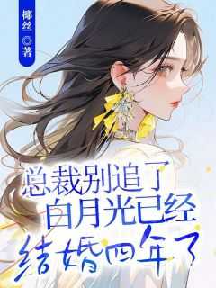总裁别追了，白月光已经结婚四年了椰丝小说全文免费阅读