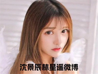 沈景辰林星遥小说（沈景辰林星遥）全文免费阅读无弹窗大结局_沈景辰林星遥最新章节列表_笔趣阁