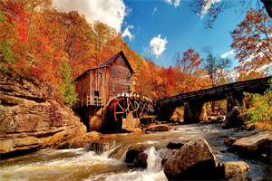 叶婉陆云州（失忆后，不当你的陆太太）全文免费阅读无弹窗大结局_失忆后，不当你的陆太太（叶婉陆云州）