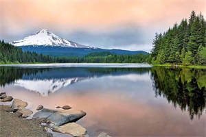 叶青禾李承泽（她死在了他们约定的三十岁）全文免费阅读无弹窗大结局叶青禾李承泽最新章节列表笔趣阁（她死在了他们约定的三十岁）