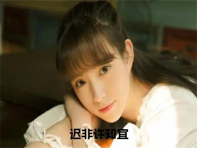 许知宜迟非（迟非许知宜）全文在线免费阅读无弹窗_许知宜迟非最新章节列表_笔趣阁